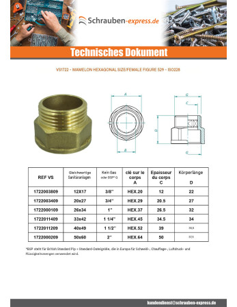 1 x Sechseckige Brustwarze Abbildung 529...