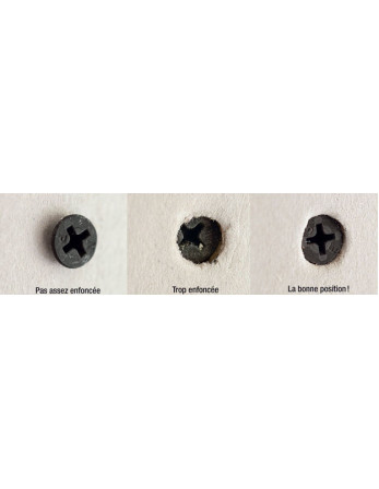 1 x Schraube für Gipsplatte 3,5X40 Metallphosphat