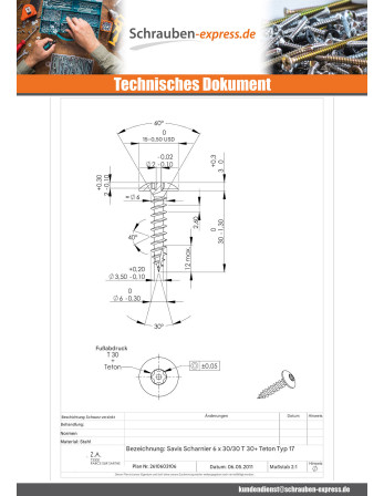 1 x Schraube Binder Sichere 6X30 Mit Gewinde 30...