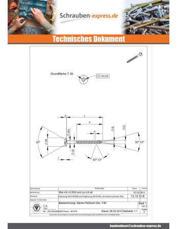1 x Schraube Binder 7X60 Teilgewinde T30 Stahl...