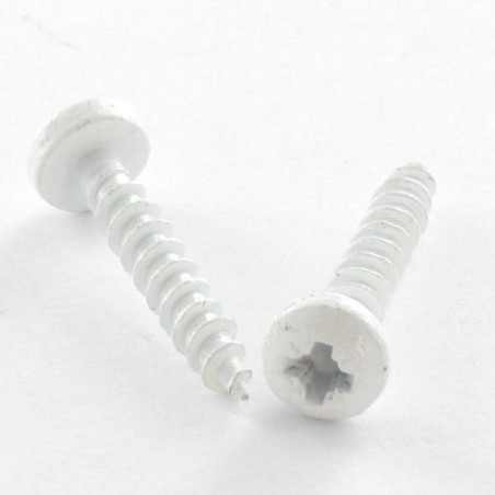 1 x Spanplattenschrauben Edelstahl A2 Rundkopf Pozi 3x20 Mikroschrauben RAL9016 signalweiß
